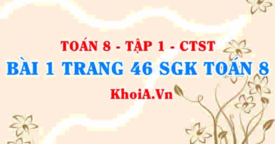 Bài 1 trang 46 SGK Toán 8 Tập 1 Chân trời sáng tạo